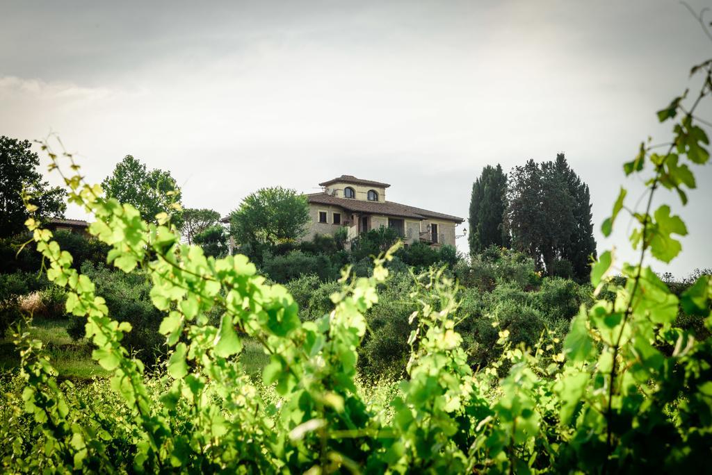 Tenuta Pizzogallo Амелиа Екстериор снимка