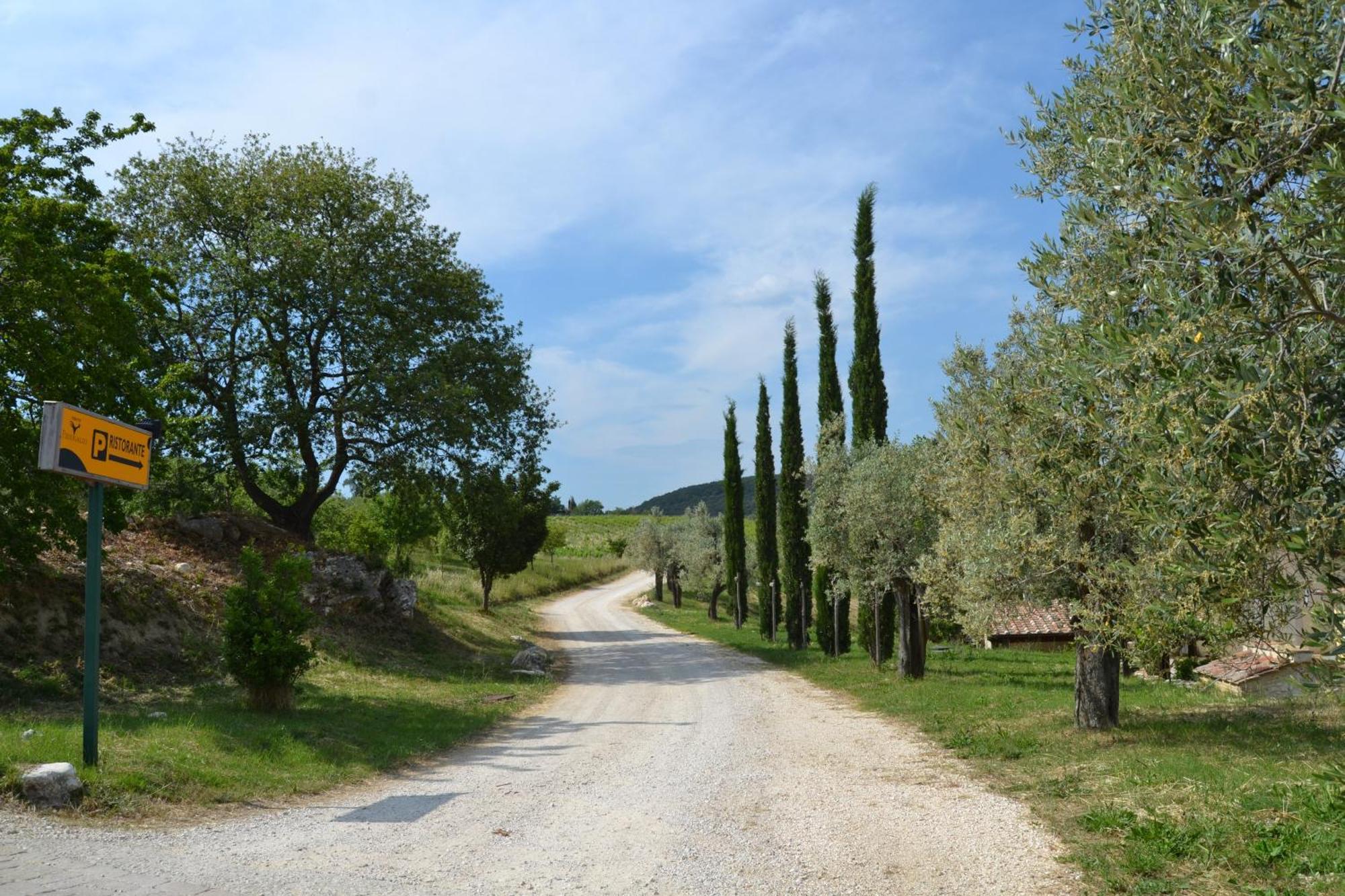 Tenuta Pizzogallo Амелиа Екстериор снимка