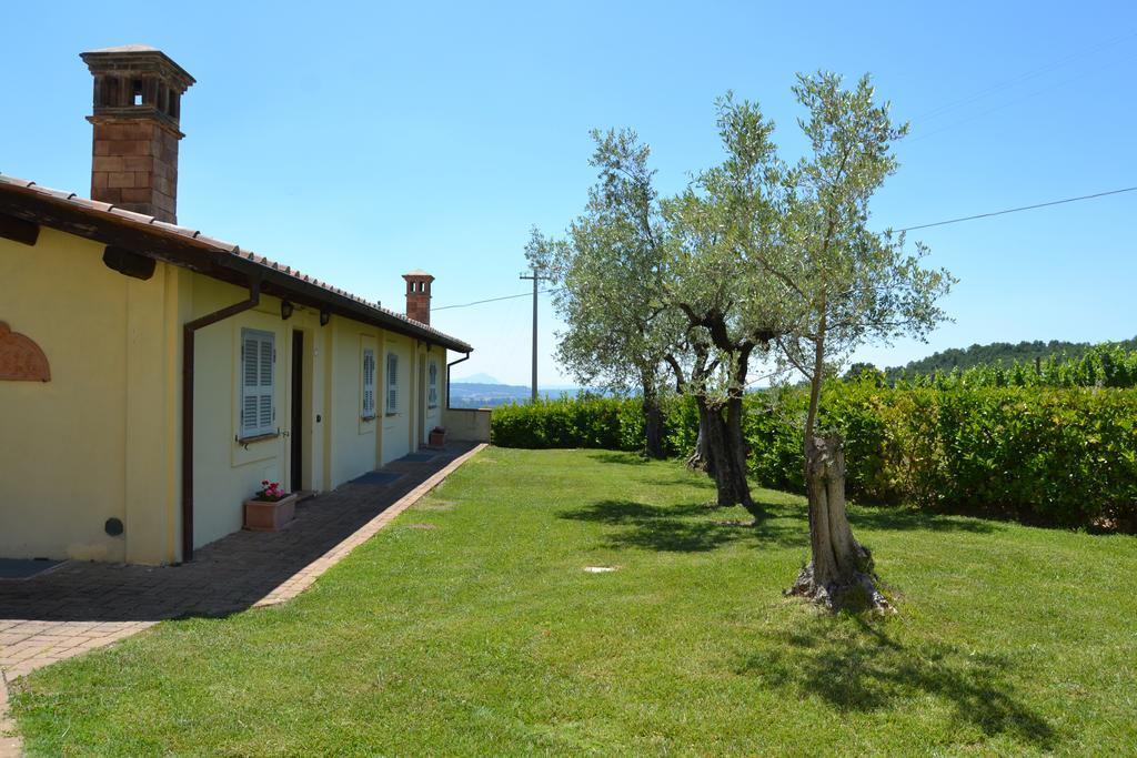Tenuta Pizzogallo Амелиа Екстериор снимка