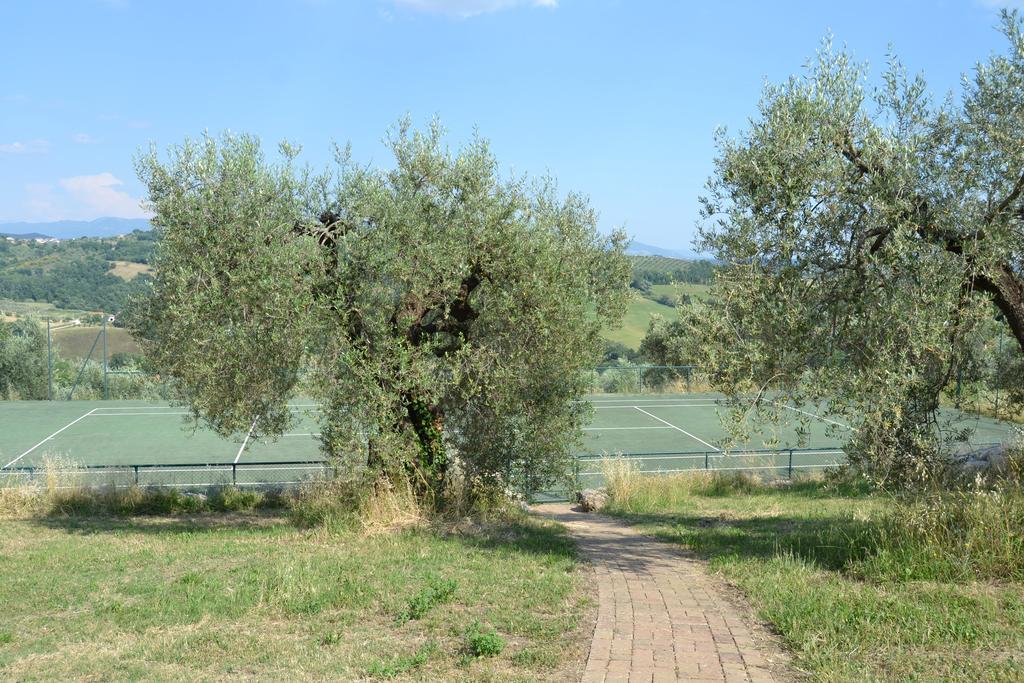 Tenuta Pizzogallo Амелиа Екстериор снимка