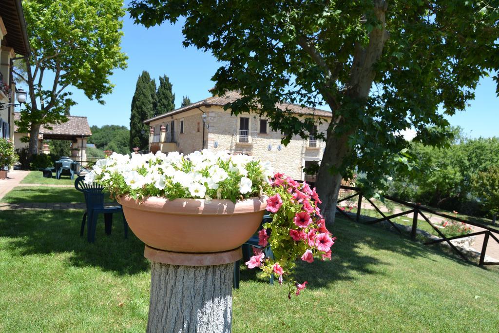 Tenuta Pizzogallo Амелиа Екстериор снимка