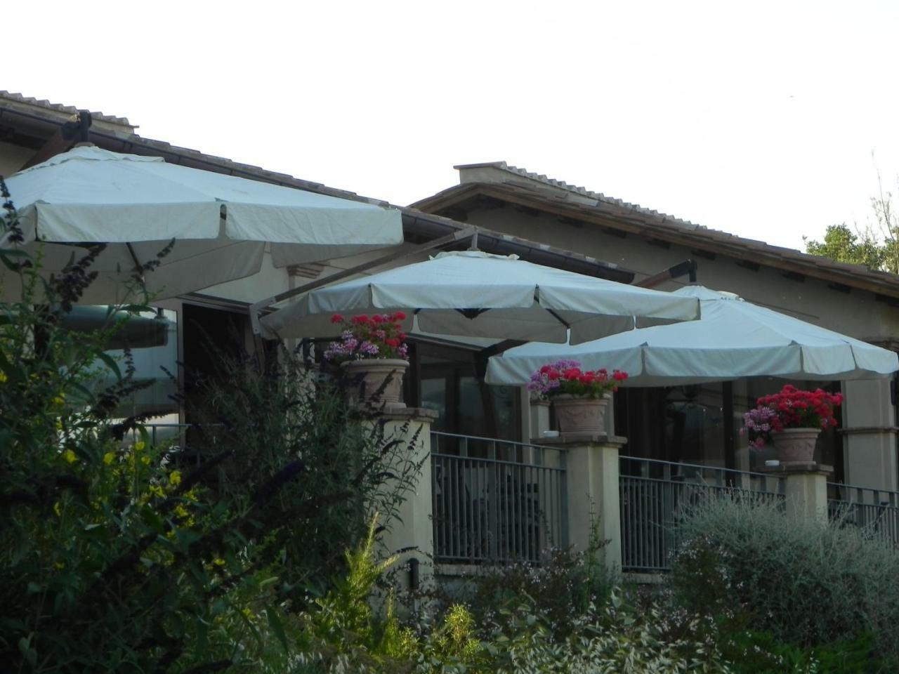 Tenuta Pizzogallo Амелиа Екстериор снимка